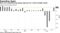 New York manufacturing gauge improves for a third straight month