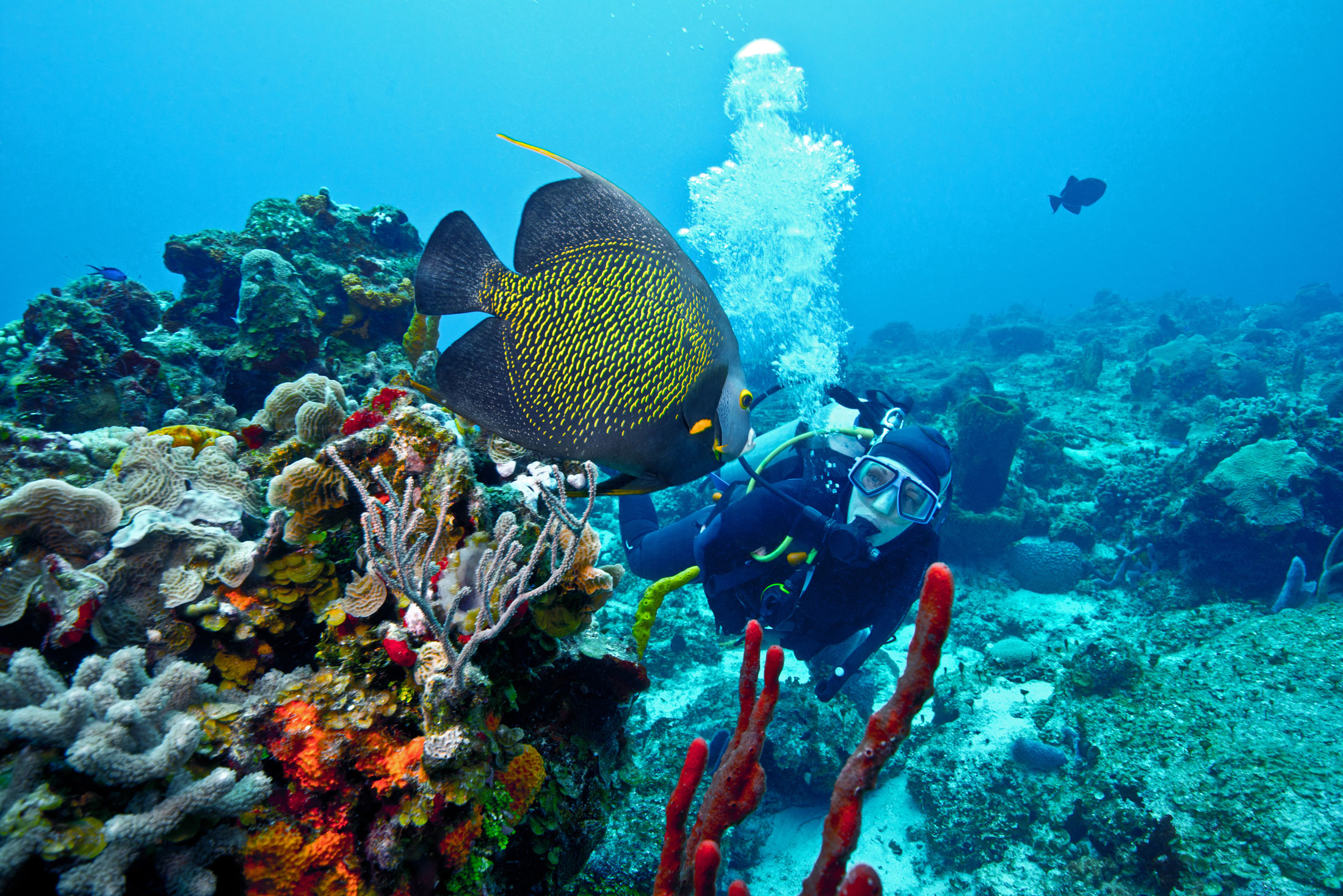 Image associated with story "Nature Conservancy Expands Team Overseeing $4 Billion Portfolio"