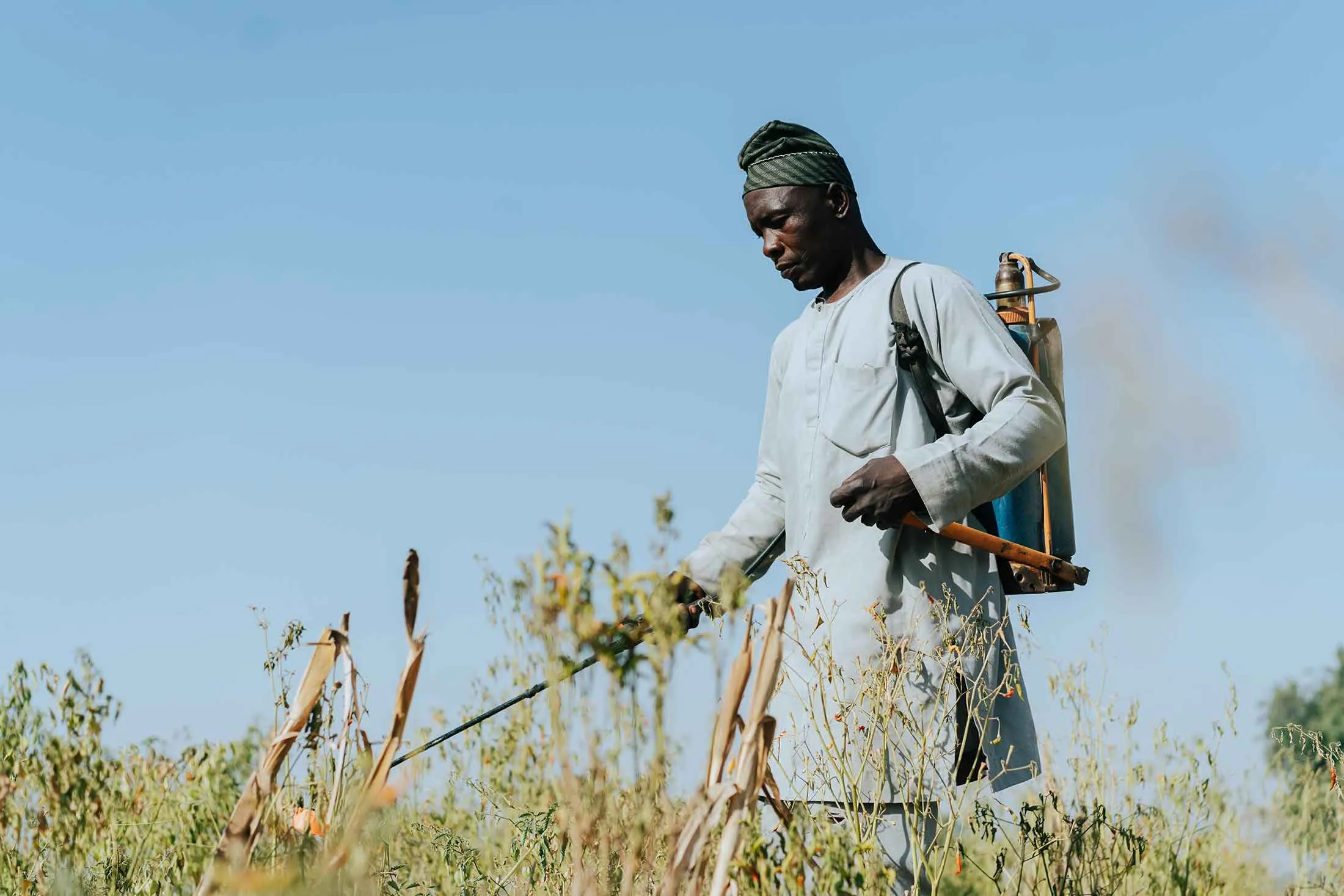 Abdullahi Yusuf spraying his crops with pesticides.