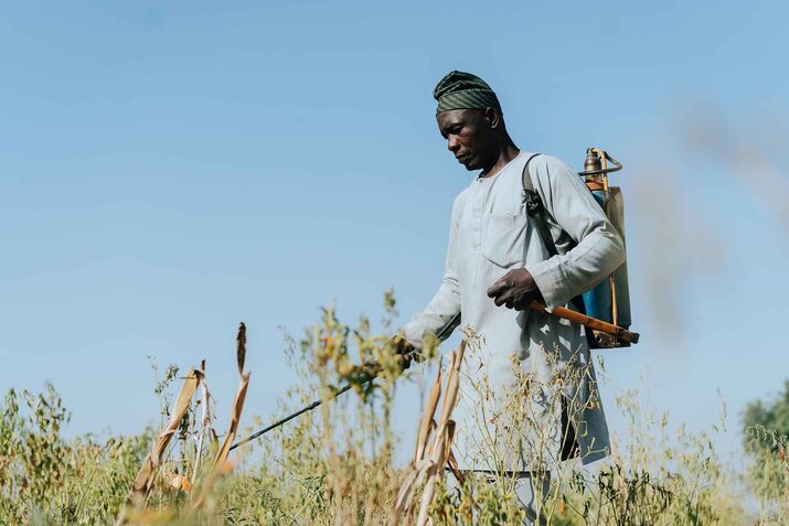 Europe’s Banned Pesticides Are Poisoning Nigeria