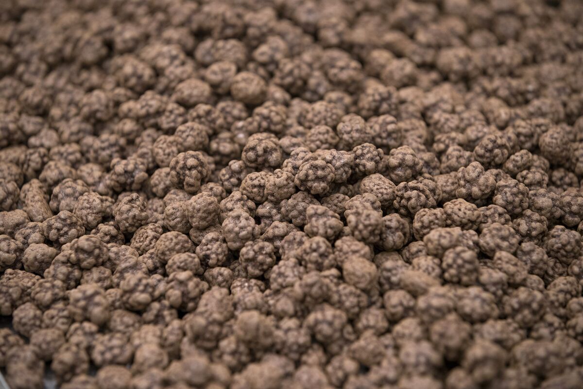 assets.bwbx.io image