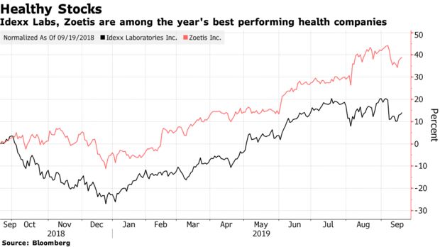 Idexx Labs, Zoetis are among the year's best performing health companies