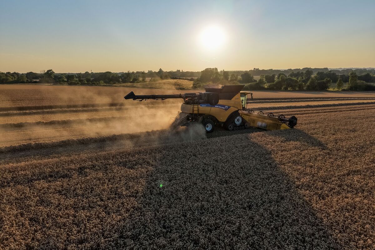 British Food Firms Urge Burnham to Act on Costs as Drought Hits