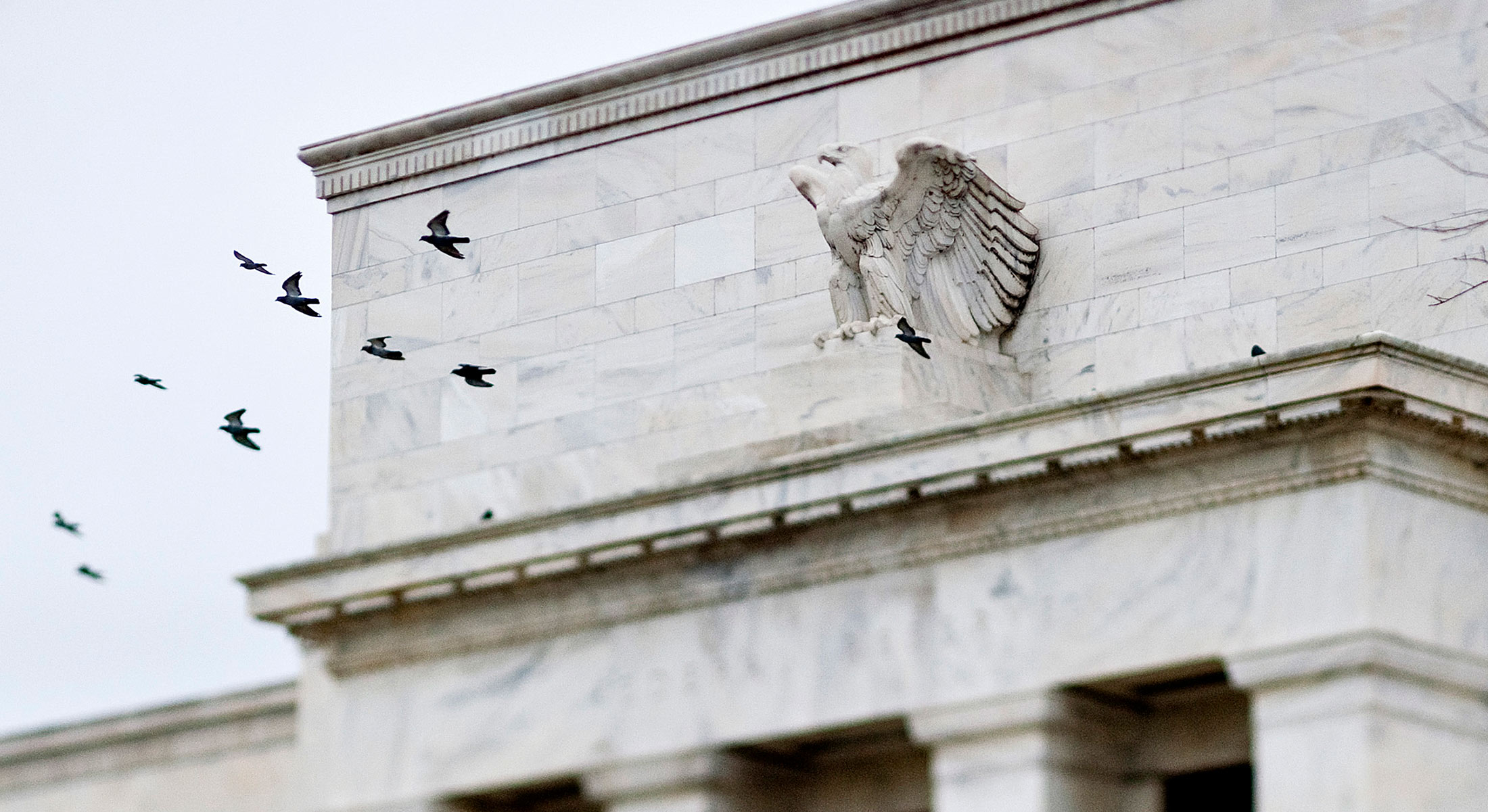 Pigeons fly past the Marriner S. Eccles Federal Reserve Board Building in Washington, D.C., U.S., on Tuesday, Nov. 30, 2010.
