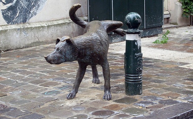 Brussels' peeing dog statue