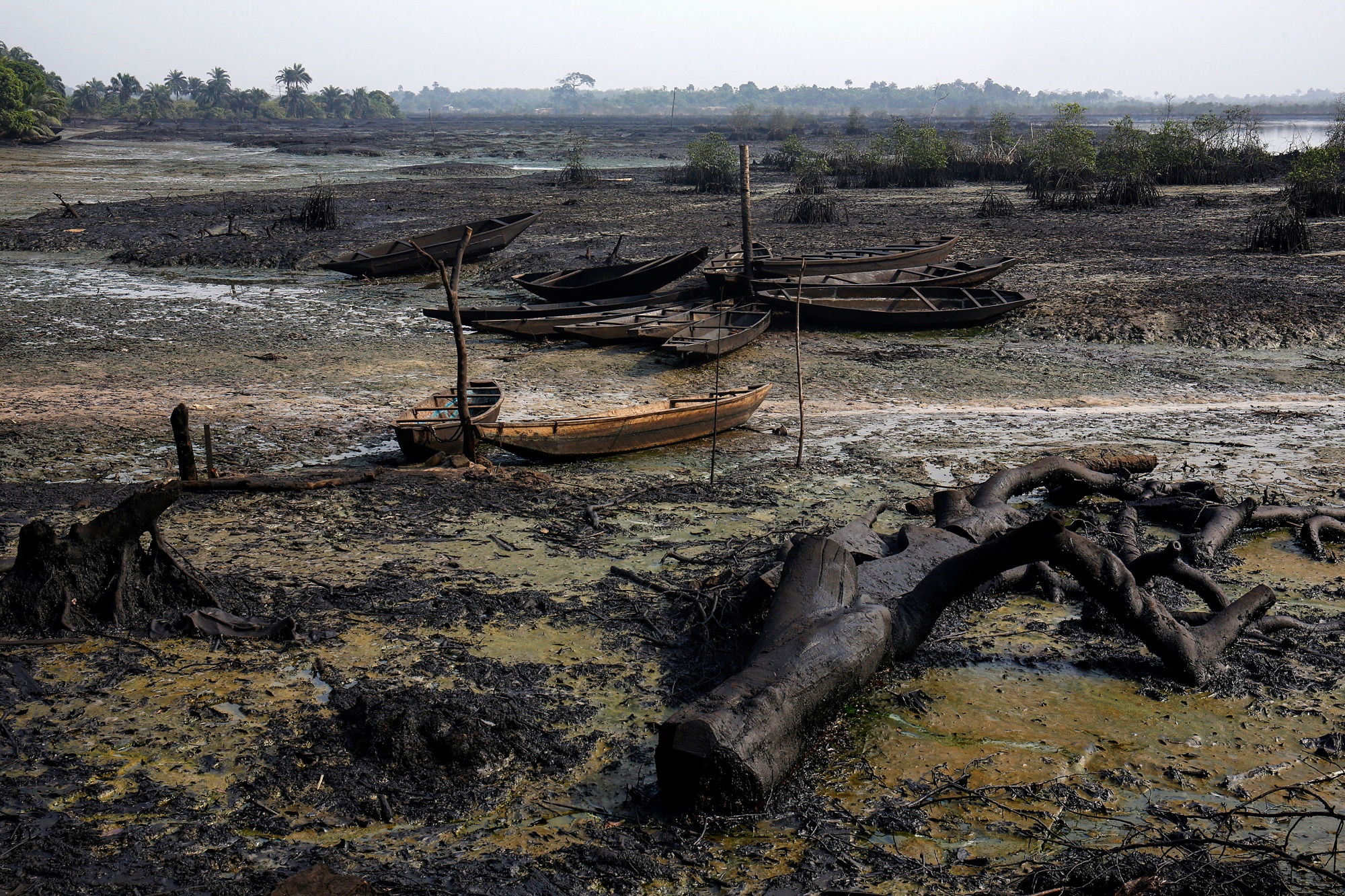 Crude oil pollution covers the shoreline of an estuary in B-Dere, Ogoniland, Nigeria.