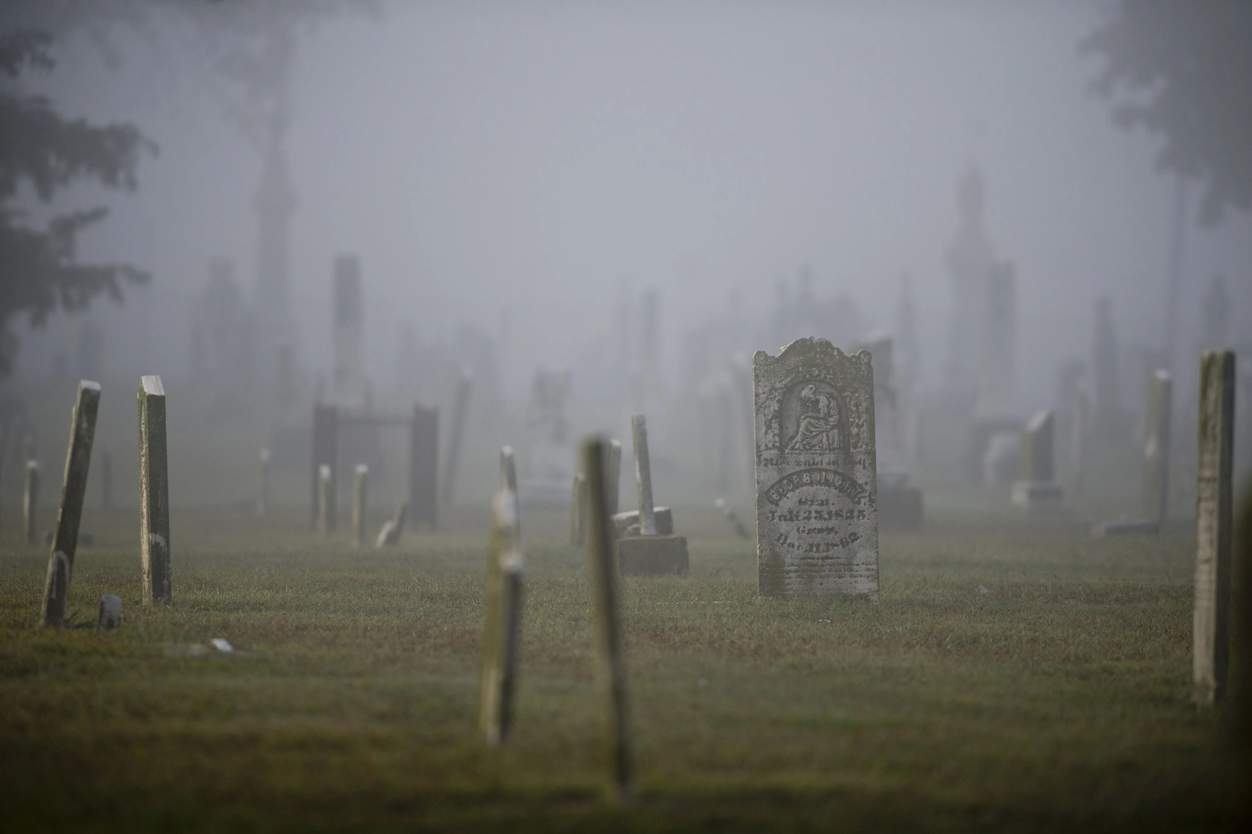 1511277616_graveyard
