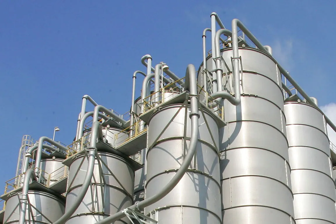 A naphtha cracker plant in&nbsp;Taiwan in 2008.