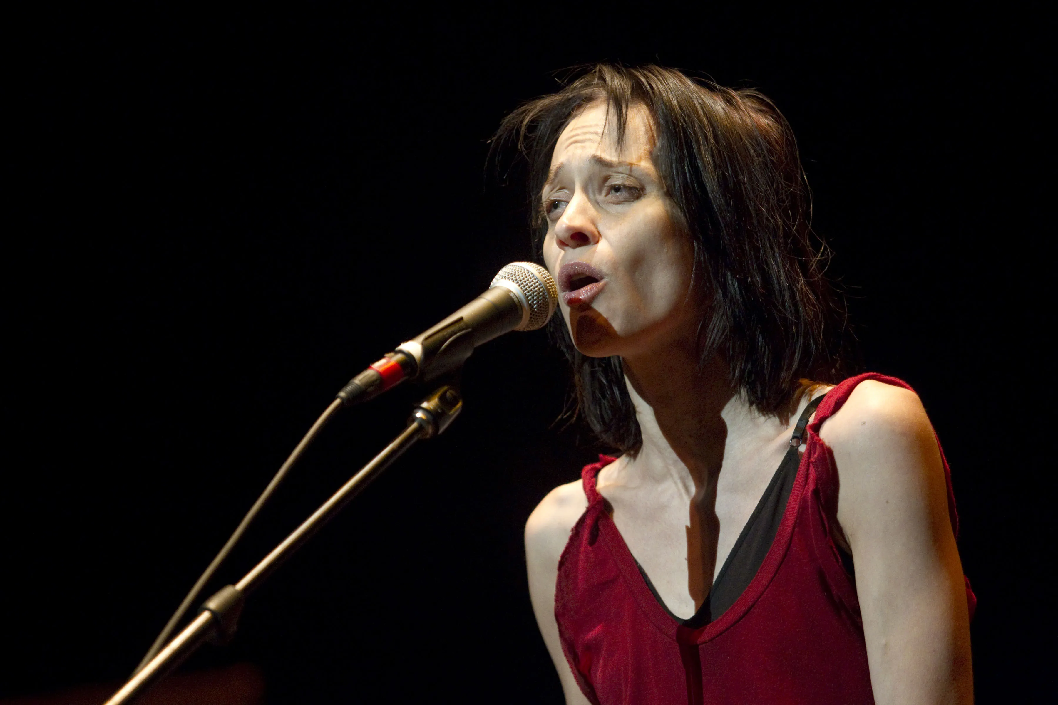 Why Fiona Apple Is Fighting for Courtroom Transparency in Maryland ...
