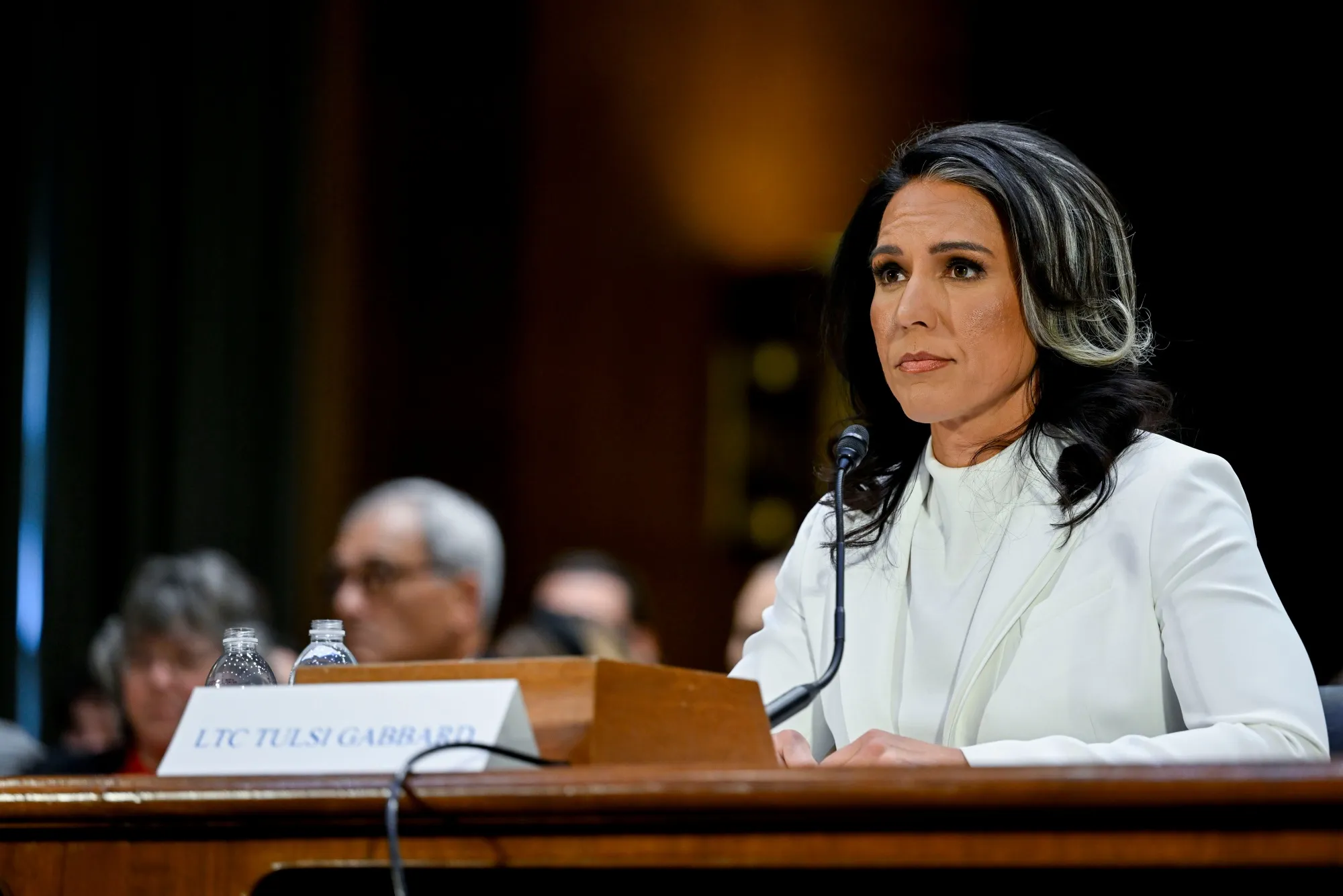 Director of National Intelligence&nbsp;Tulsi Gabbard