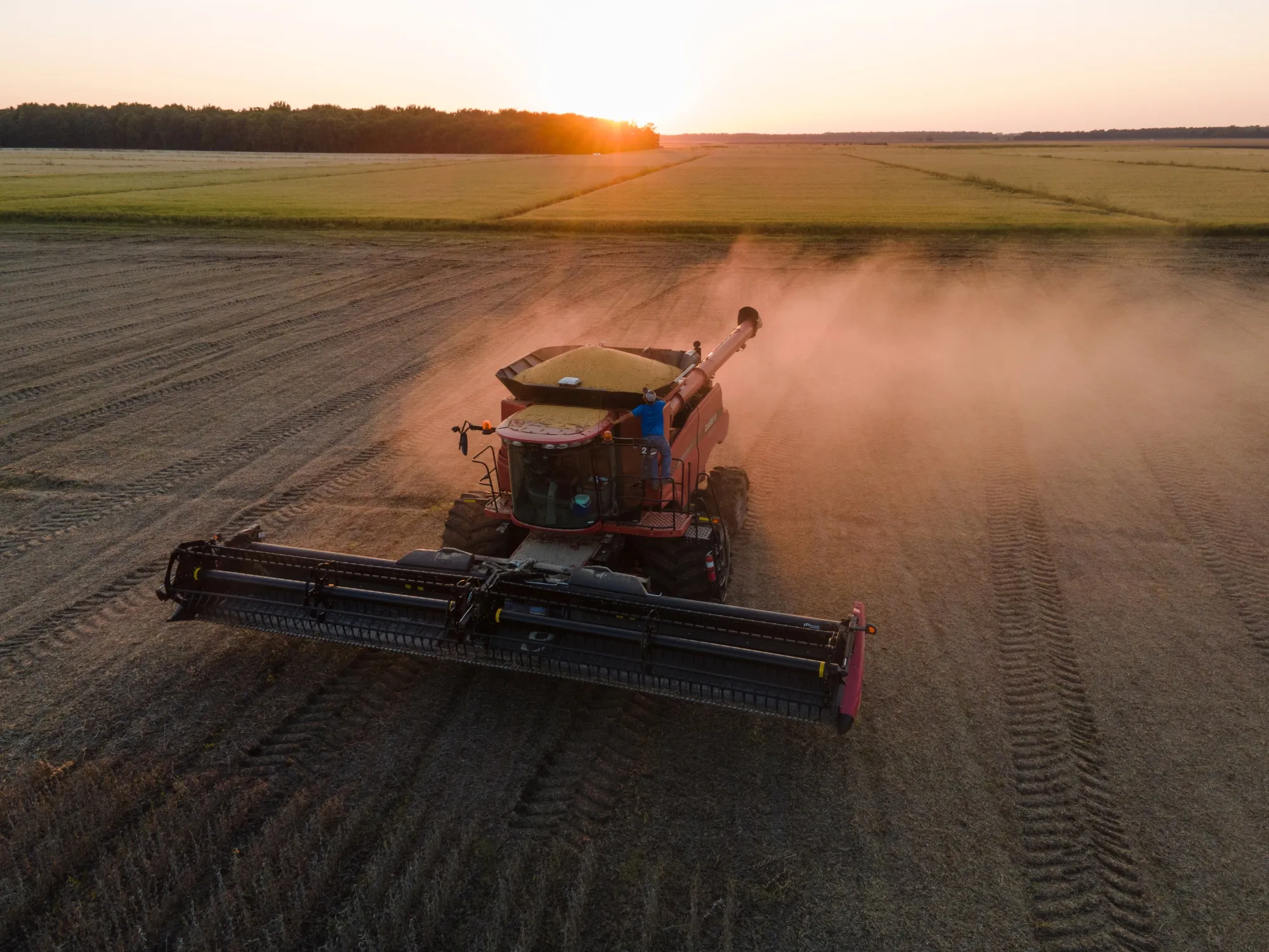 A worker harvests soybeans in Pace, Mississippi, U.S., in October.&nbsp;