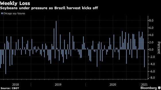 Corn Prices Fall Most in 17 Months to Pace ‘Brutal’ Crop Selloff
