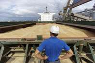 Grain Storage And Export At Bunge Ltd.'s Nikolaev Port