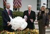 TOPSHOT-US-POLITICS-HOLIDAY-THANKSGIVING-TURKEY-TRUMP