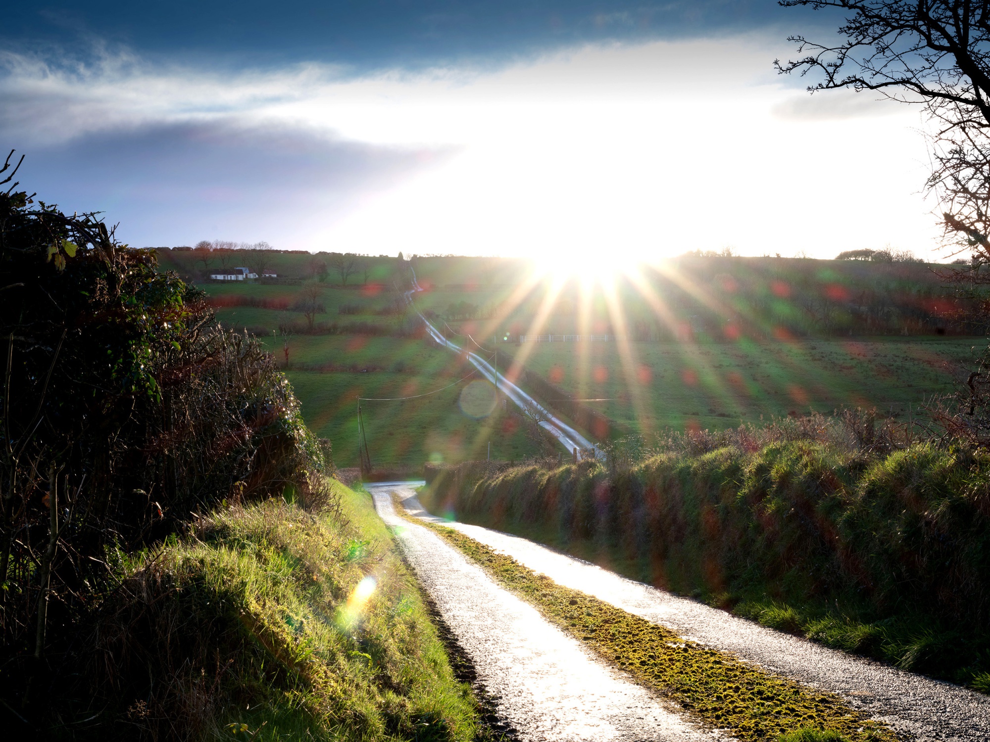 Farmland in Cornahoe Upper