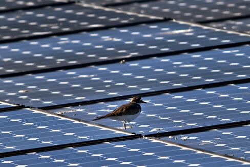 SunPower Corp. solar panels