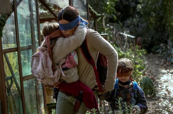 Bird Box Madness Sparks Dining Challenge on Long Island