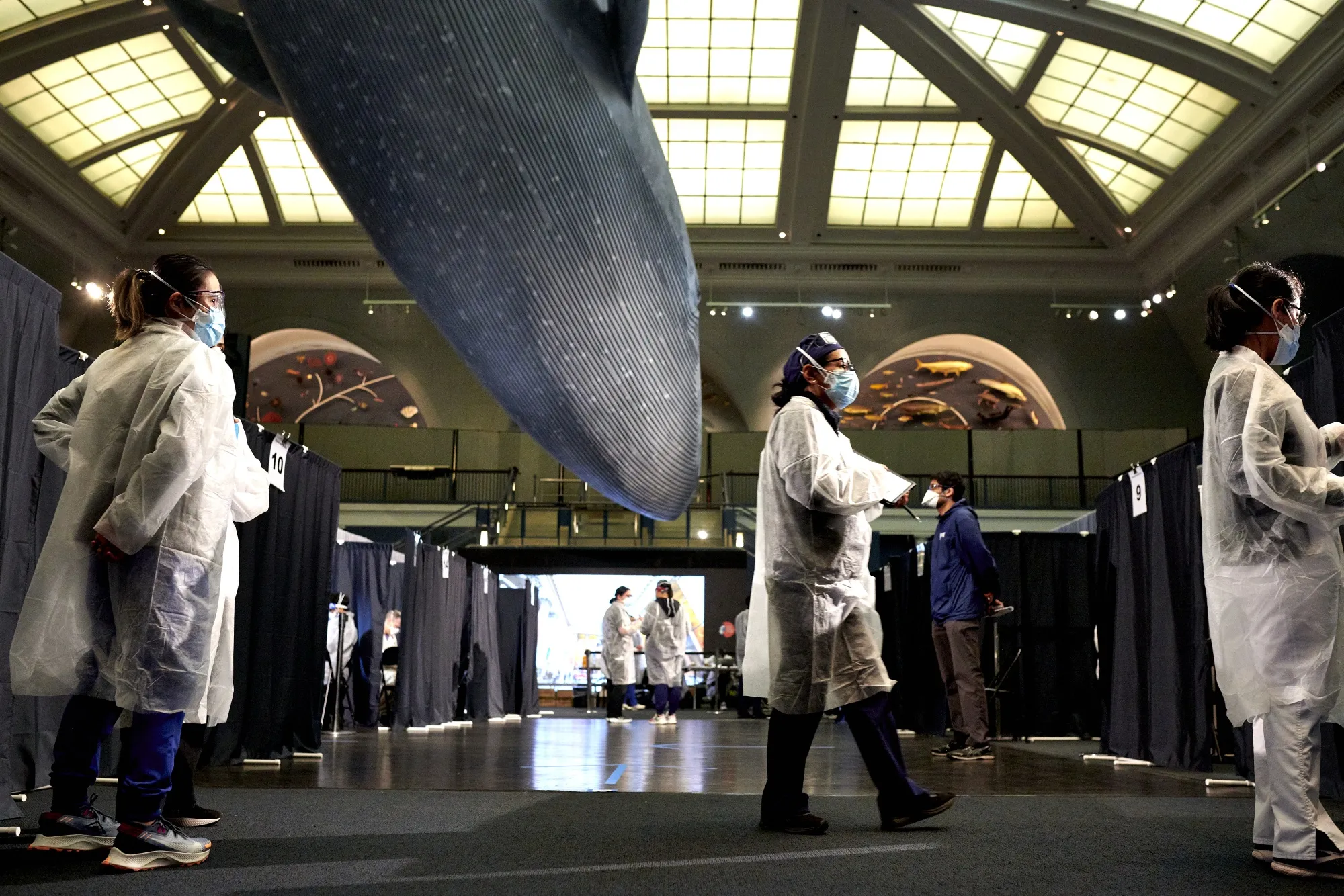 Healthcare workers at the American Museum of Natural History Covid-19 vaccination site in New York, on April 30.