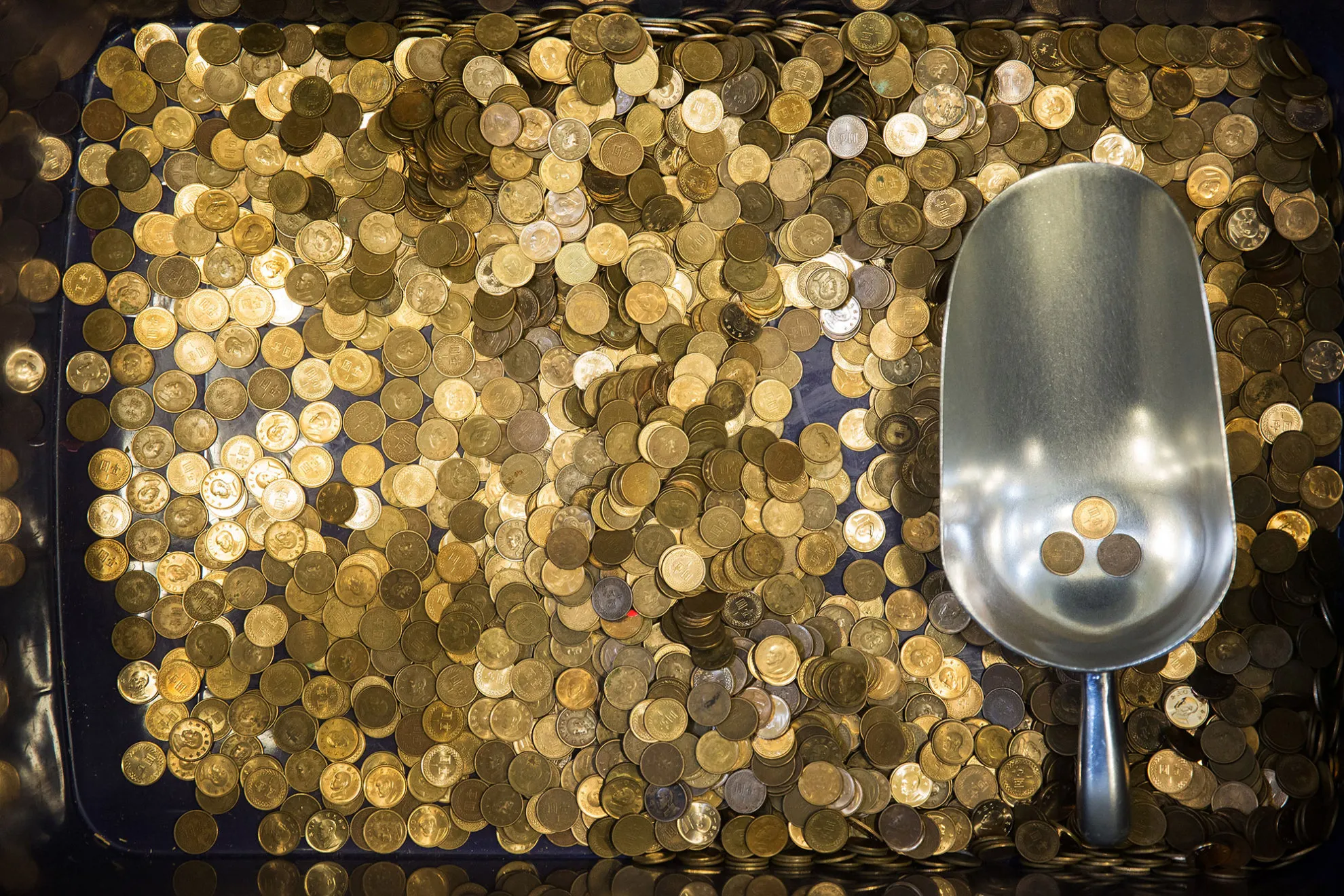 Taiwanese one dollar coins.

