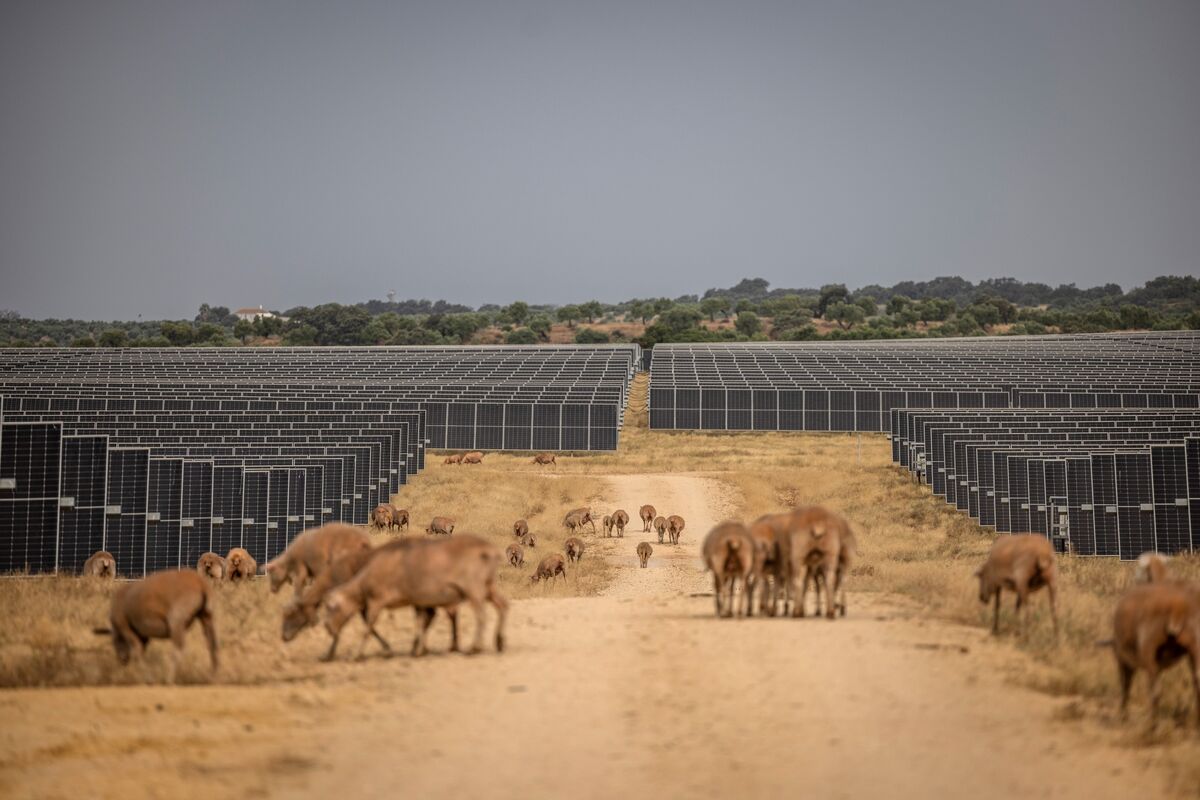 Spain Got a Head Start on Renewables — Now It Needs a Battery Revolution