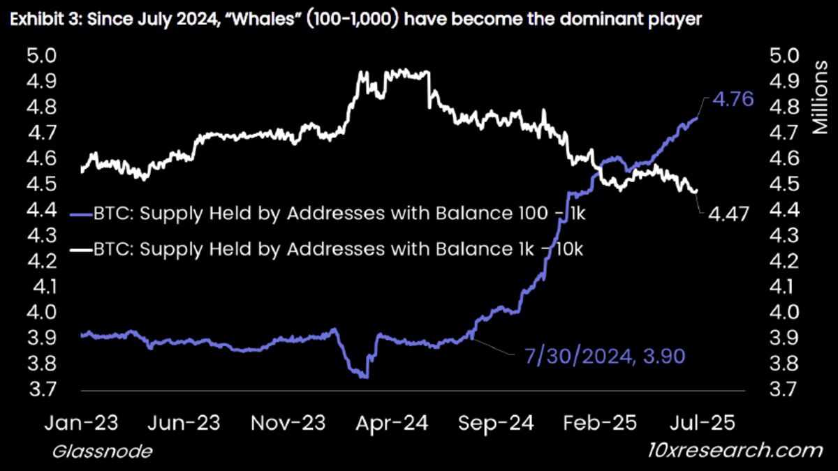 The Great Bitcoin Power Shift Has Large Holders Dumping 500,000 Coins