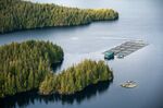 A fish farm&nbsp;near&nbsp;British Columbia, Canada.