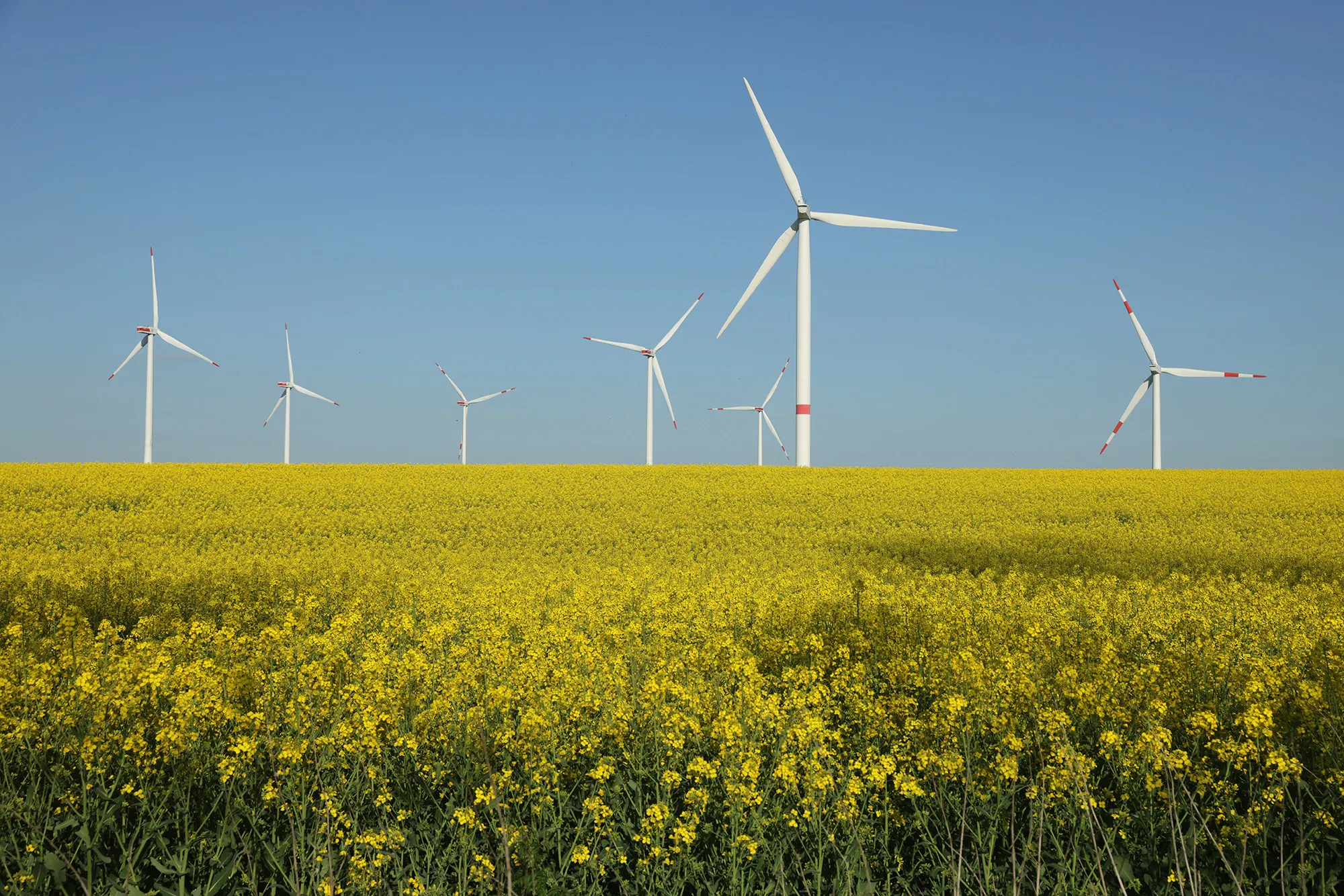 A wind park near Pinnow, Germany.