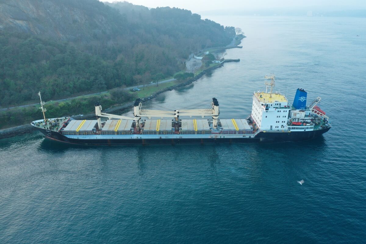 Ship Traffic in Istanbul Strait Suspended as Vessel Runs Aground