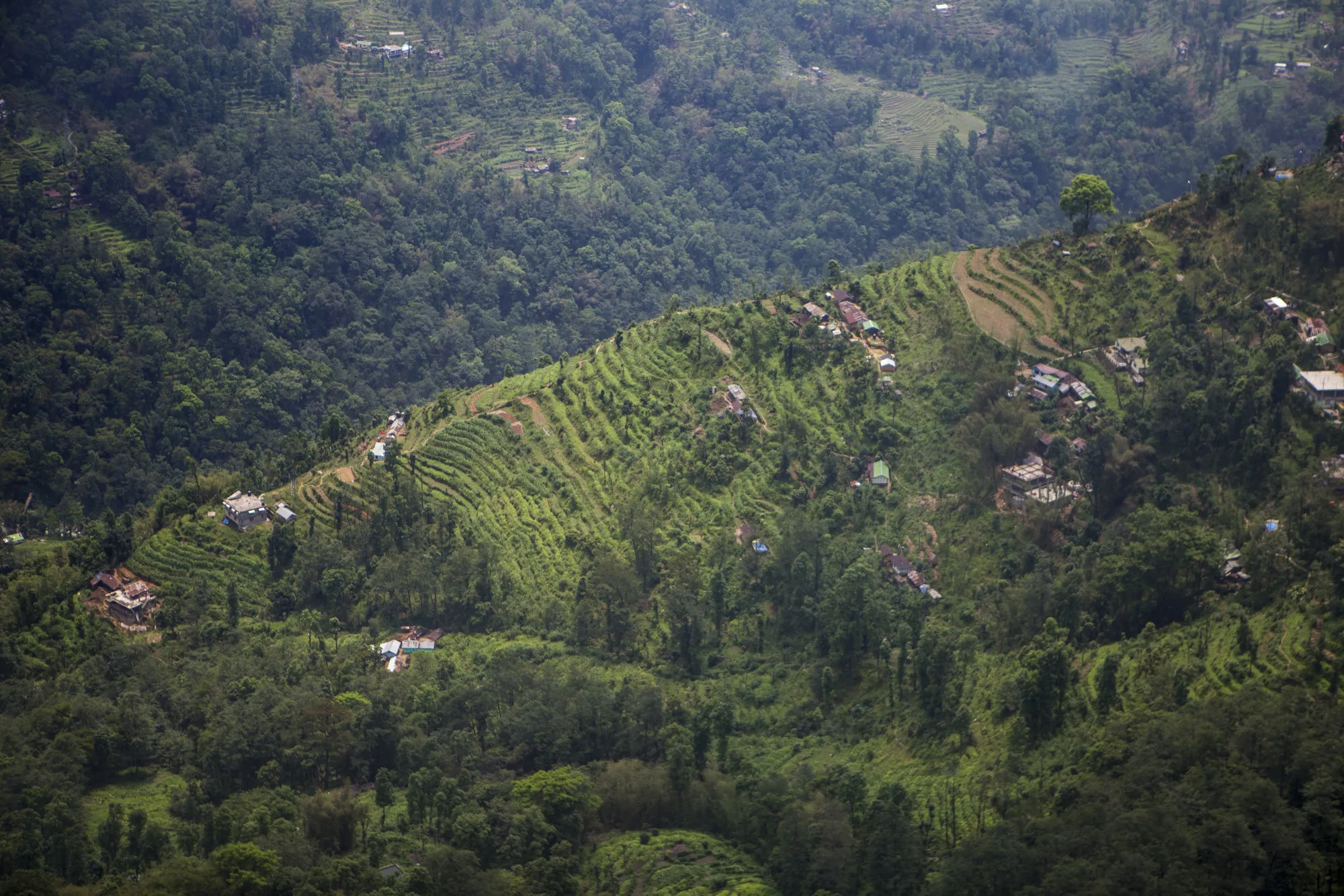 INDIA SIKKIM ORGANIC FARMING