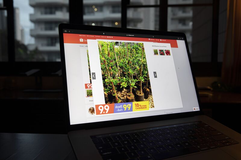 relates to Thailand Legalizing Opioid-Like Herb Spurs Rush of Online Sales