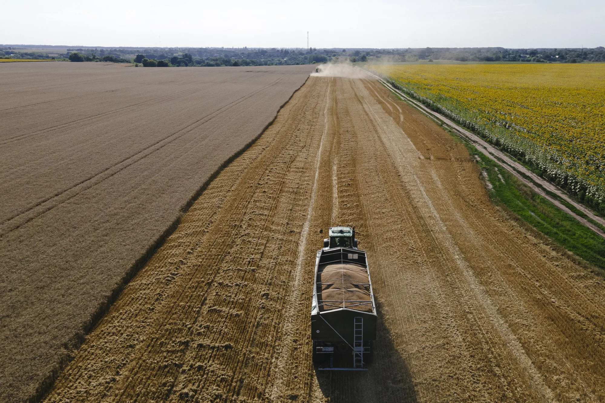 Ukraine is a major exporter of agricultural commodities, which are a key source of its wartime revenues.&nbsp;