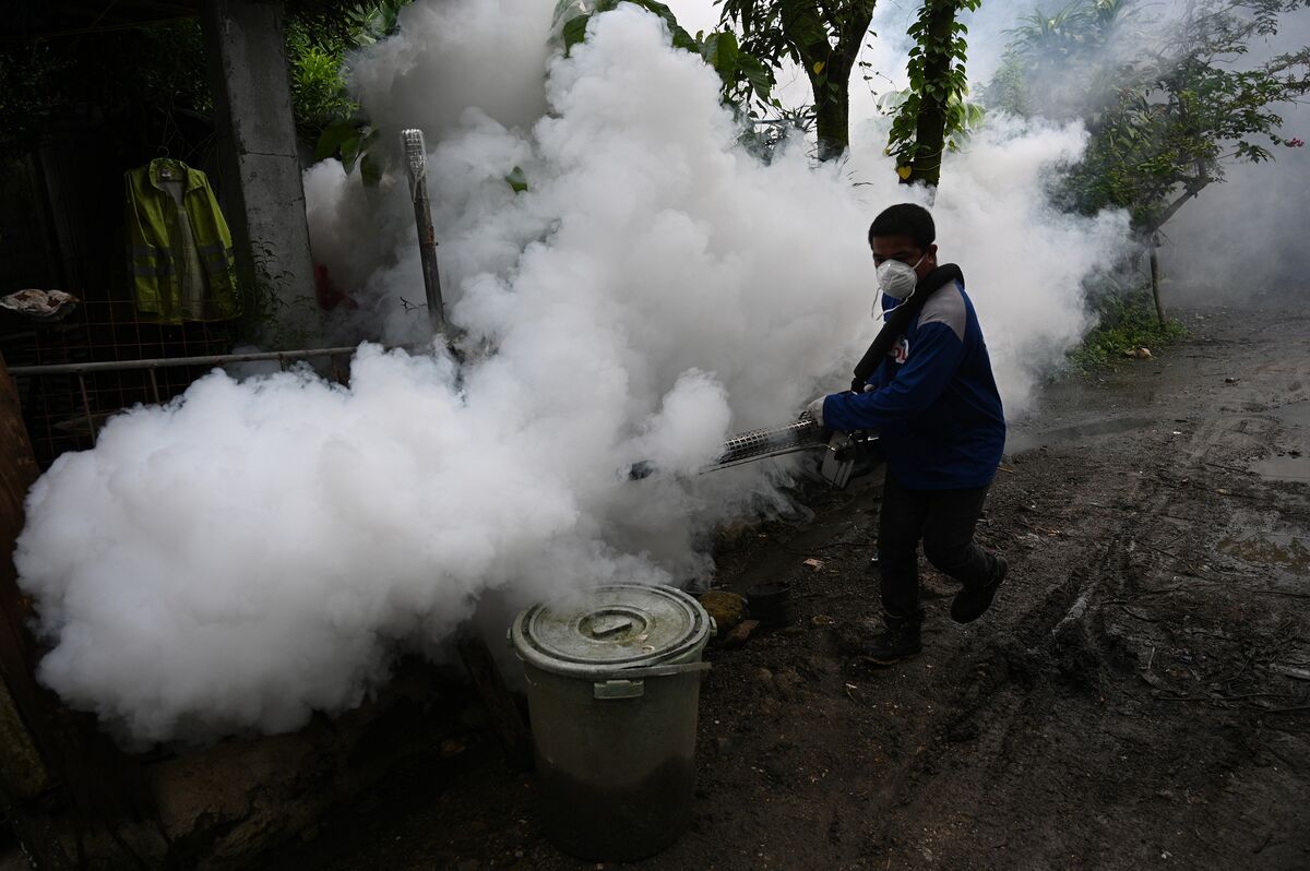 Dengue Has Killed 882 in Philippines This Year, Inquirer Says Bloomberg