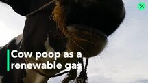 current playlist thumbnail