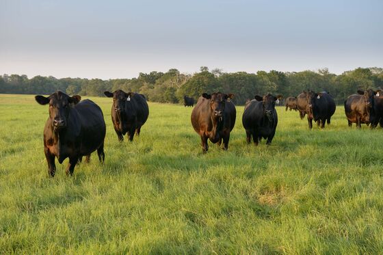 Walmart Creates an Angus Beef Supply Chain, Bypassing Tyson