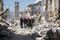 At Least 73 Reported Dead As Earthquake Hits Central Italy