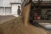 Wheat Harvest as World Supply Still Strained