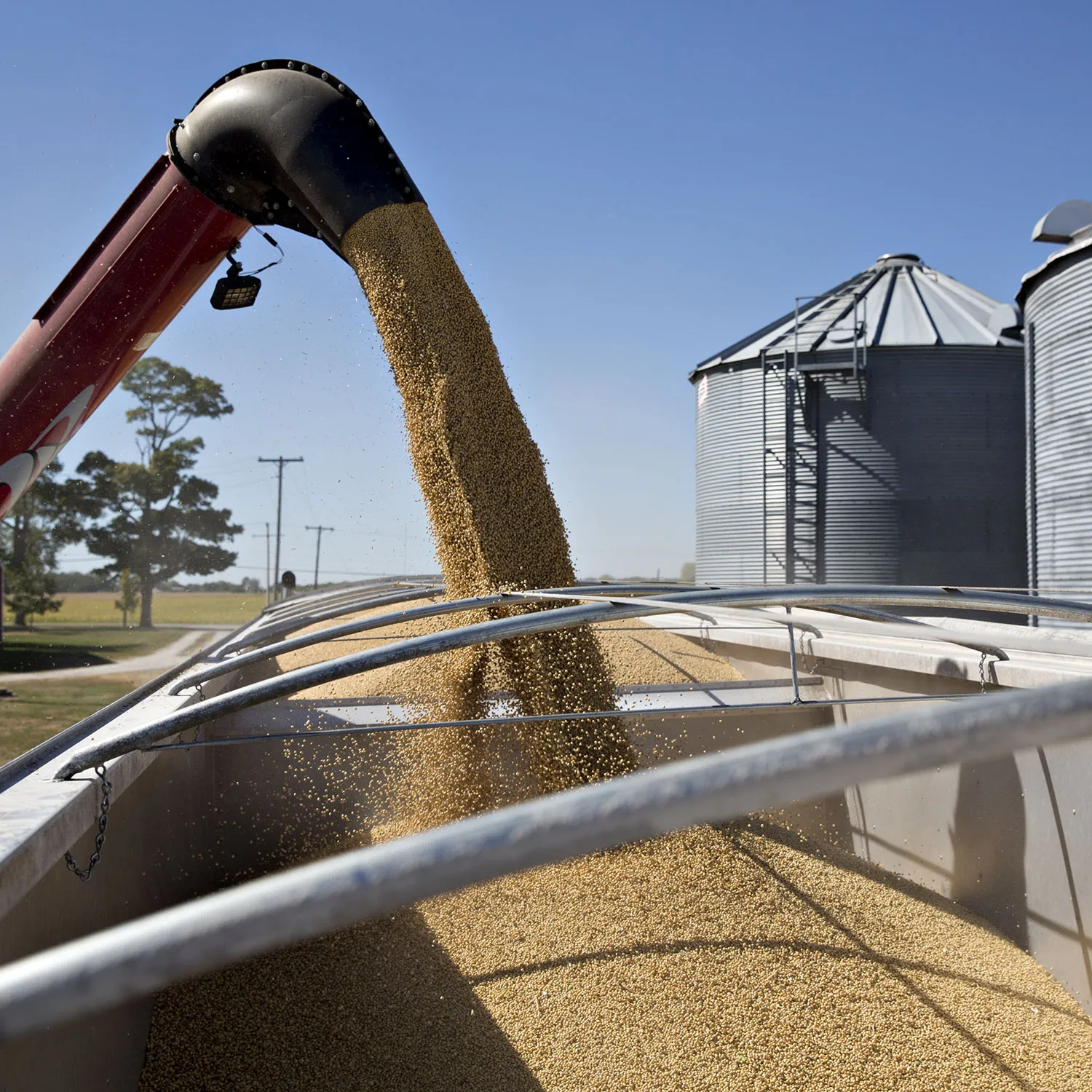 Iran bought American soybeans after exports to China collapsed.