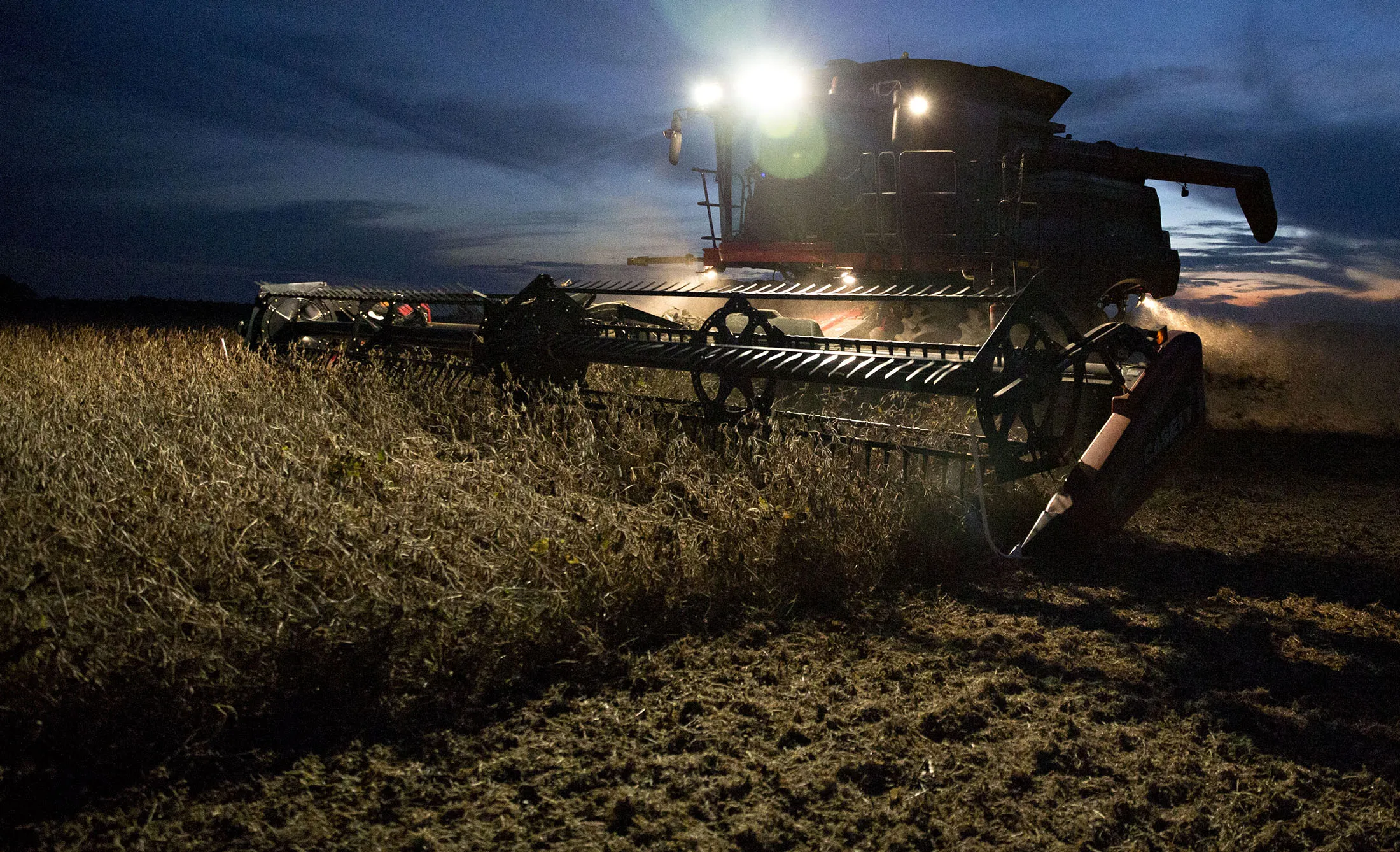 Soybeans are harvested with a combine harvester in Princeton, Illinois.
