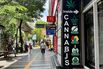 Thai Cannabis Industry Thrown Into Chaos as Government Aims to Recriminalize Weed