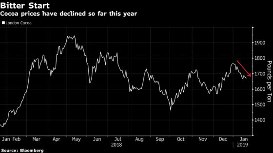 Mild Harmattan Means Ivory Coast Cocoa Crop May Eye Record