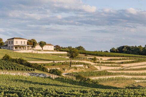 The winery and cellar at Chateau Tour Saint Christophe look out over a stone-terraced vineyard that has been completely restored.