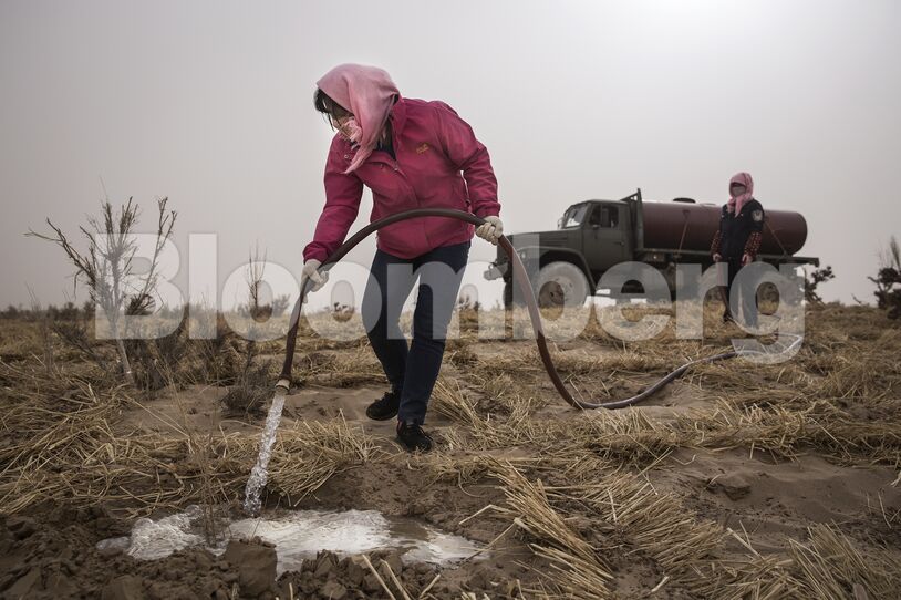 China Strives To Combat Desertification For Sustainable Development