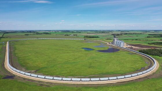 Canada Grain Trader Bets on New Terminal to Win Asian Market