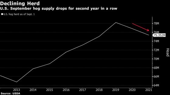 U.S. Hog Herd Shrinks, Signaling Pork Prices Will Stay High