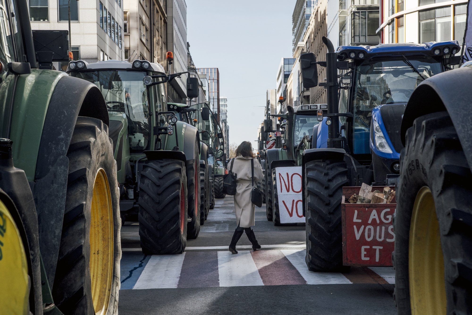 European farmer protests reveal struggles, make consumers rethink