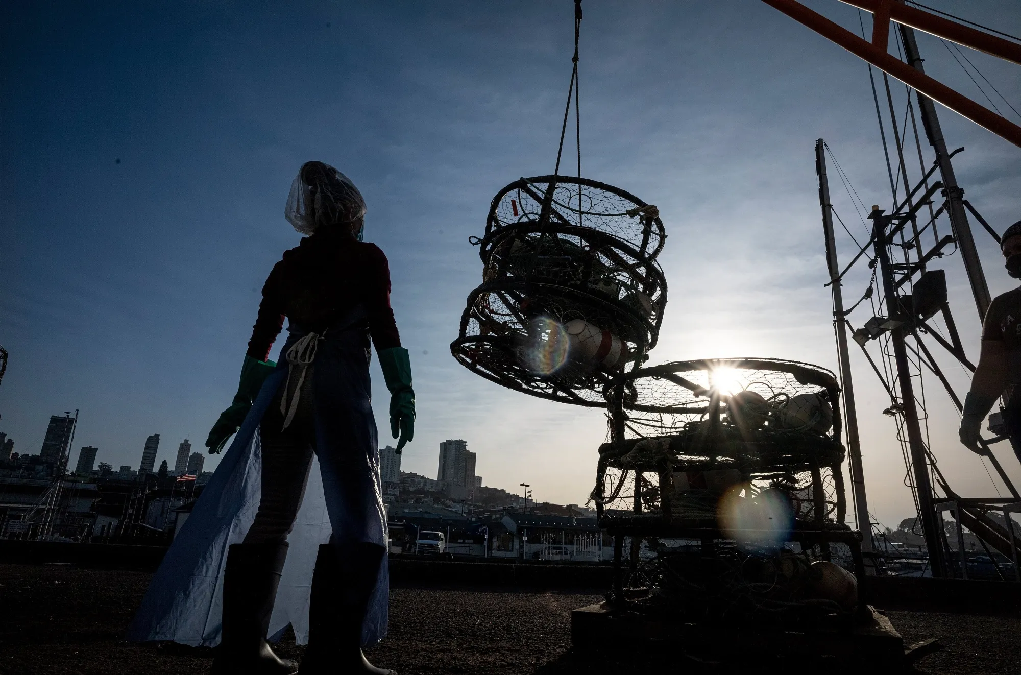 California's Commercial Dungeness Crab Season Gets Underway