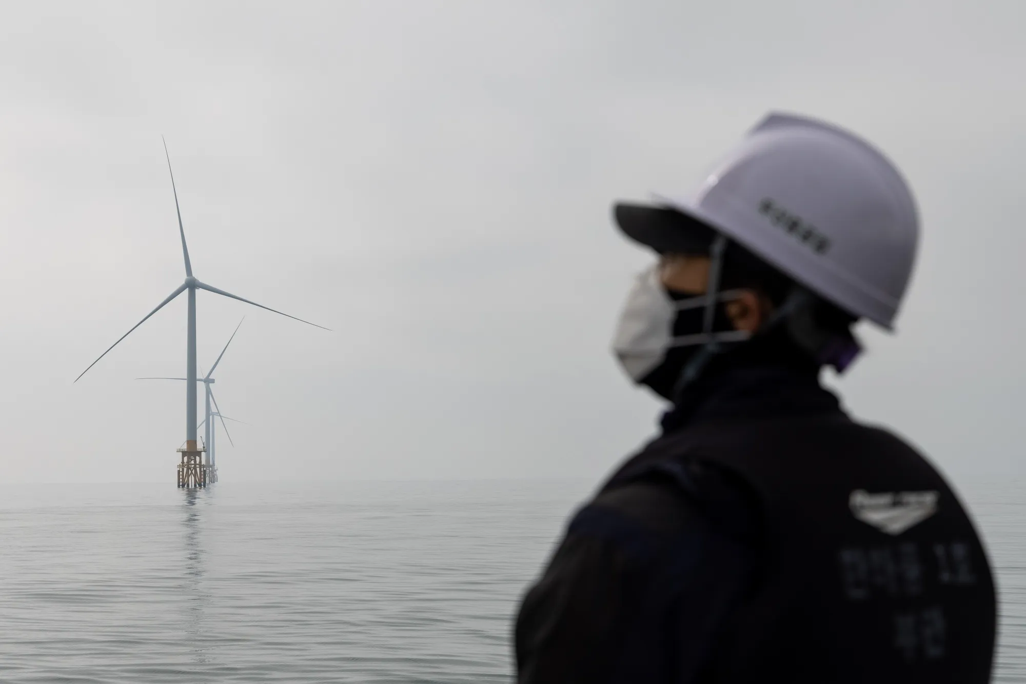 Offshore Wind Farm In The Southwest Sea