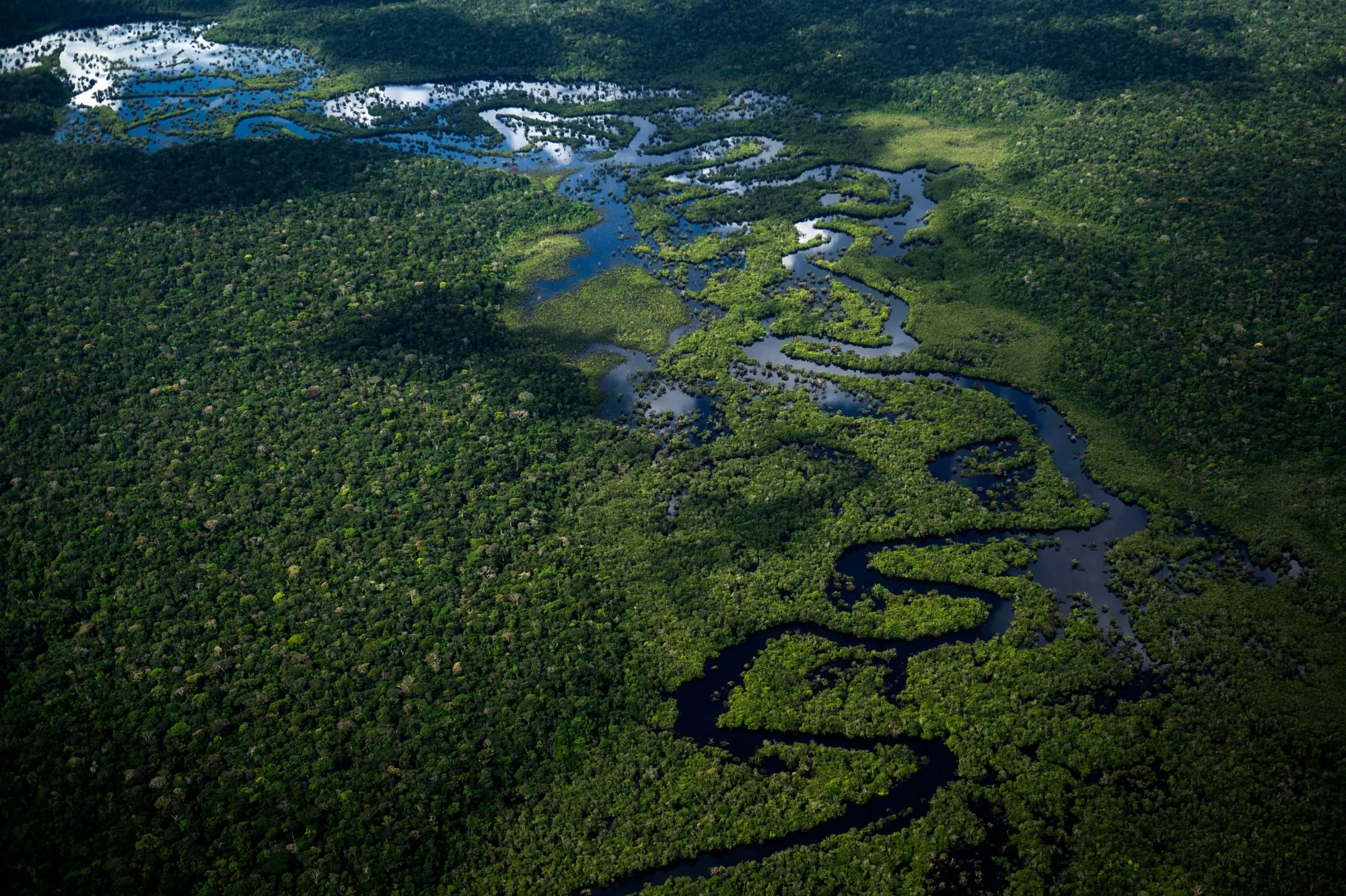 View of the Amazon rainforest from the city of Manicore to Manaus, Brazil.