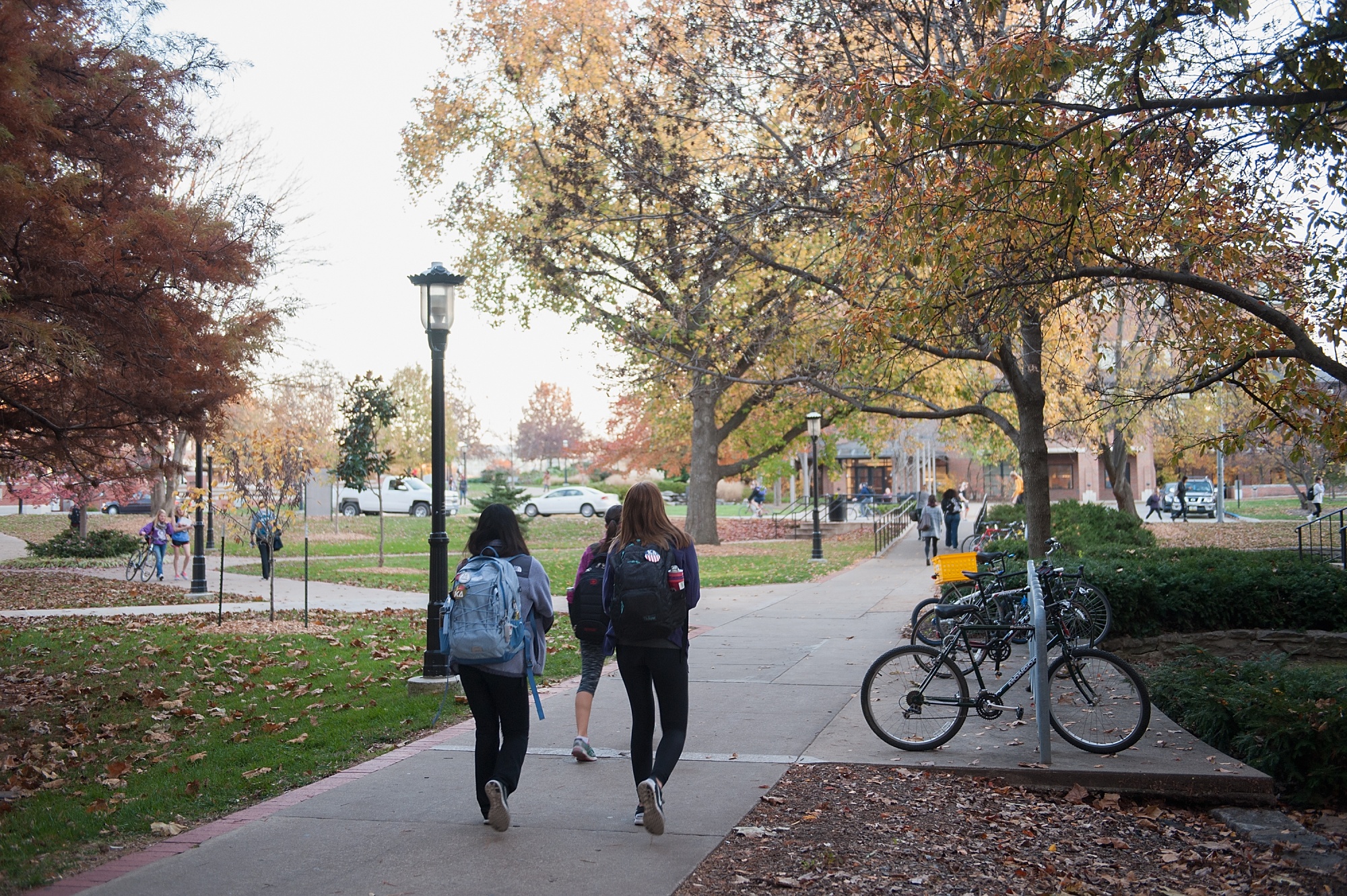 More US Colleges at Risk of Closing or Merging Fitch Says Bloomberg