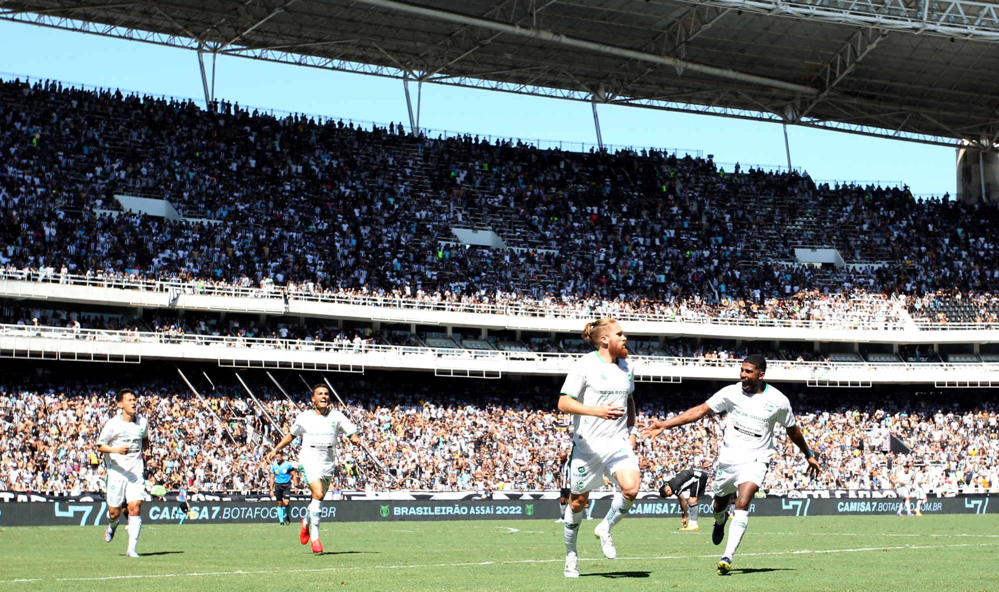 Brasileirão Futebol Society